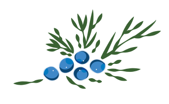 https://info.biom.dev.marmadot.com/wp-content/uploads/sites/2/2023/05/kopiya-vetka-otdelno-1.png