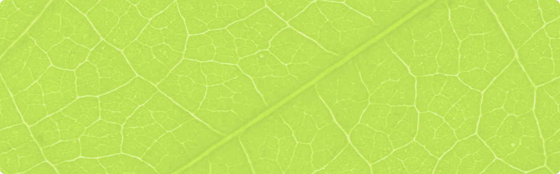 https://info.biom.dev.marmadot.com/wp-content/uploads/sites/2/2023/05/mask-group-9.png